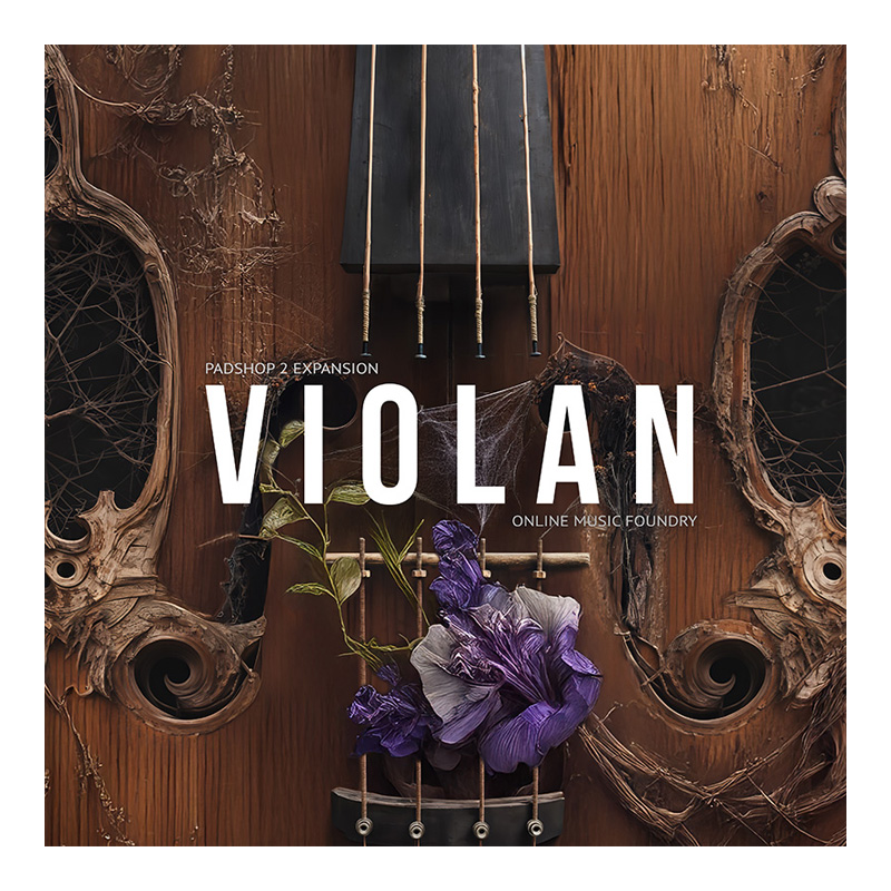 Violan