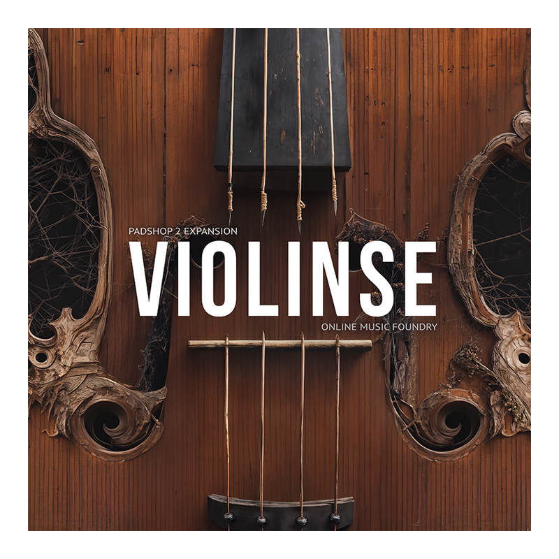 Violinse